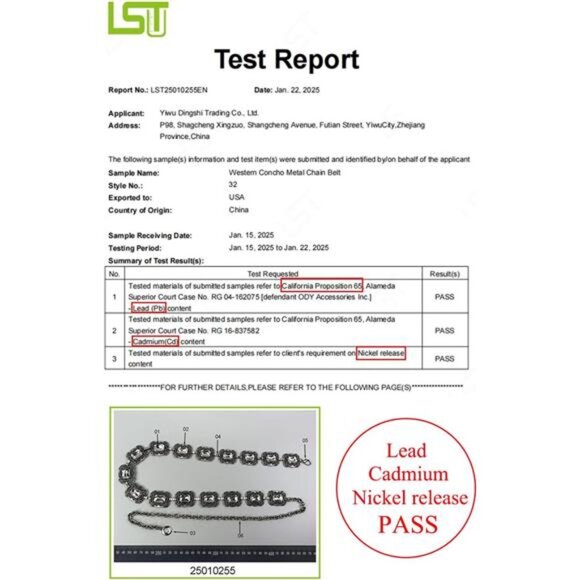 TOPACC Western Metal Concho Belt for Women Cowgirl Chain Belts for Dresses - Picture 3 of 7